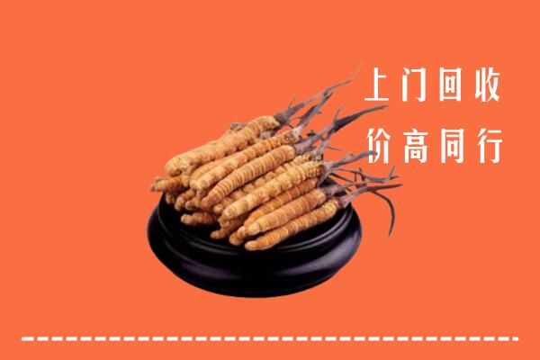 高价求购：铜川市回收散虫草