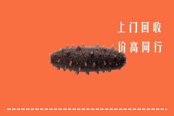 铜川市回收海参